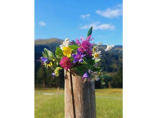 Ferienwohnung Höfen Grundriss 53
