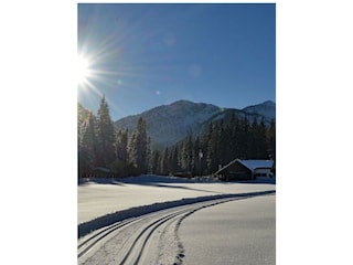 Appartement de vacances Höfen Enregistrement extérieur 12