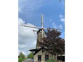 Vakantiehuis Ouddorp Omgeving 34