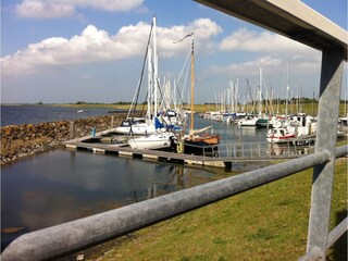 Casa per le vacanze Ouddorp Ambiente 38