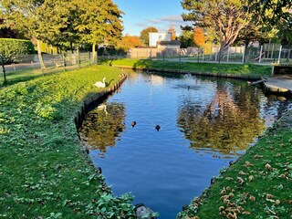 Vakantiehuis Ouddorp Omgeving 37