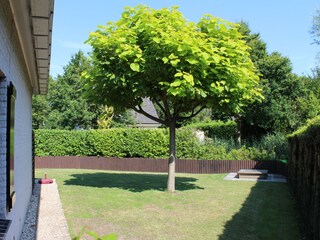 Holiday house Ouddorp Environment 4