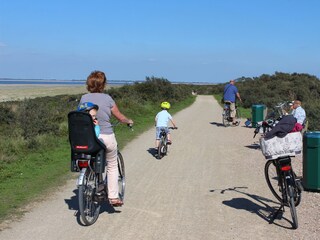 Vakantiehuis Ouddorp Omgeving 29