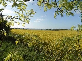Natur pur