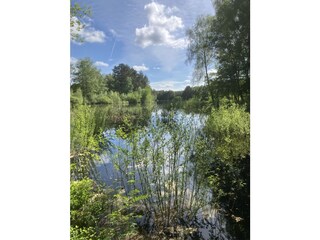 Stichter See