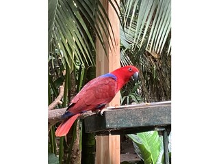 Vogelzoo Walsrode