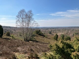 Am Wilseder Berg