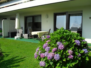 Blick auf die Terrasse