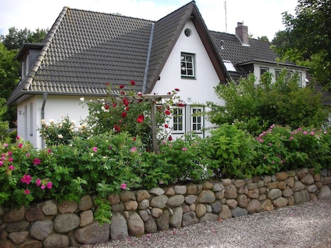 Ferienwohnung Outzen - Nr. 3