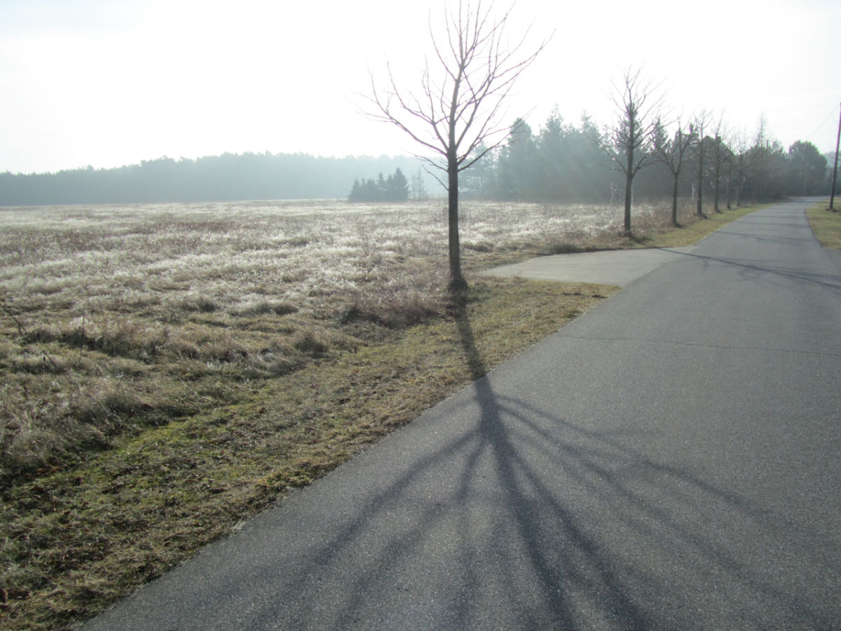 Dorfstraße am Morgen