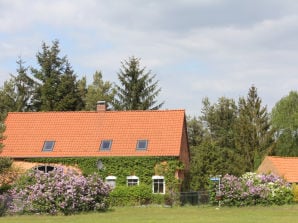Ferienhaus Stille - Vielank - image1