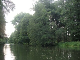 Spreewald