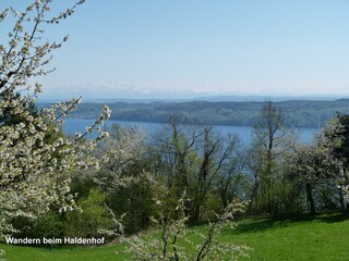 Wandern / Sicht auf Bodensee