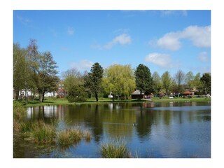 Idylle am Dorfteich