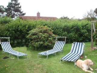 Bungalow Julianadorp Buitenaudio-opname 5