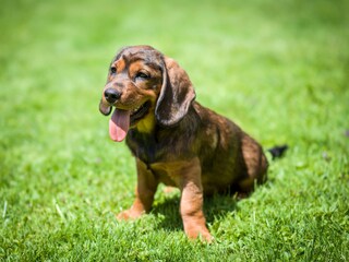 Appartamento per vacanze Mayrhofen Registrazione all'aperto 16