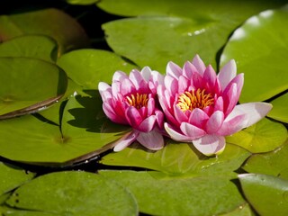 Appartamento per vacanze Mayrhofen Registrazione all'aperto 9