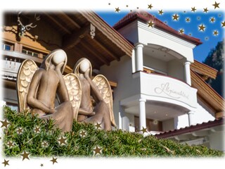 Apartamento de vacaciones Mayrhofen Grabación al aire libre 9