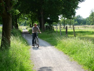 Durch die Pferdewiesen