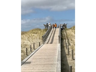 Das  Deck:  neuer Aussichtspunkt!