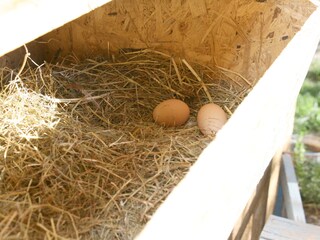 Appartamento per vacanze Lana Ambiente 9