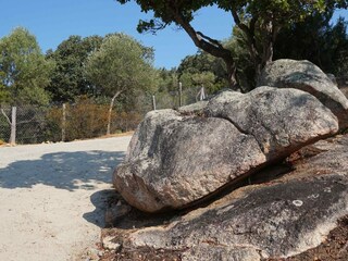 Villa Olmeto Registrazione all'aperto 16