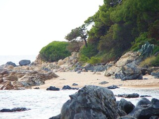 Villa Olmeto Ambiente 31