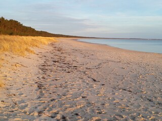 Morgenspaziergang am Strand