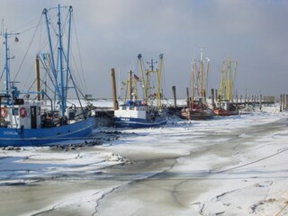 Kutterhafen im Winter