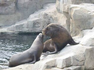 Zoo in Bremerhaven