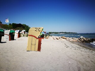 Appartamento per vacanze Haffkrug Ambiente 21