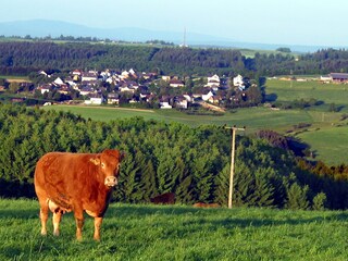 Maison de vacances Lorch Environnement 14