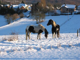 Vakantiehuis Lorch Omgeving 21