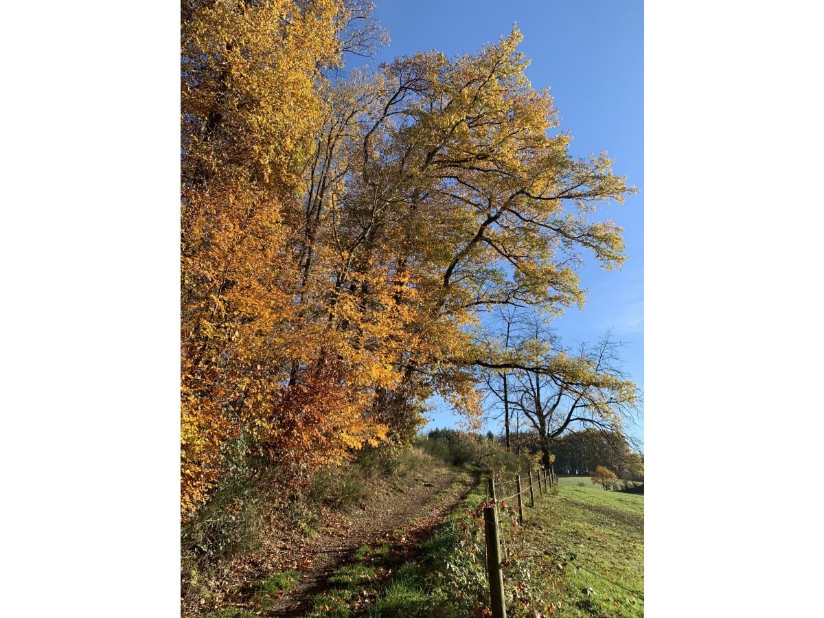 Wanderwege direkt vor der Haustür