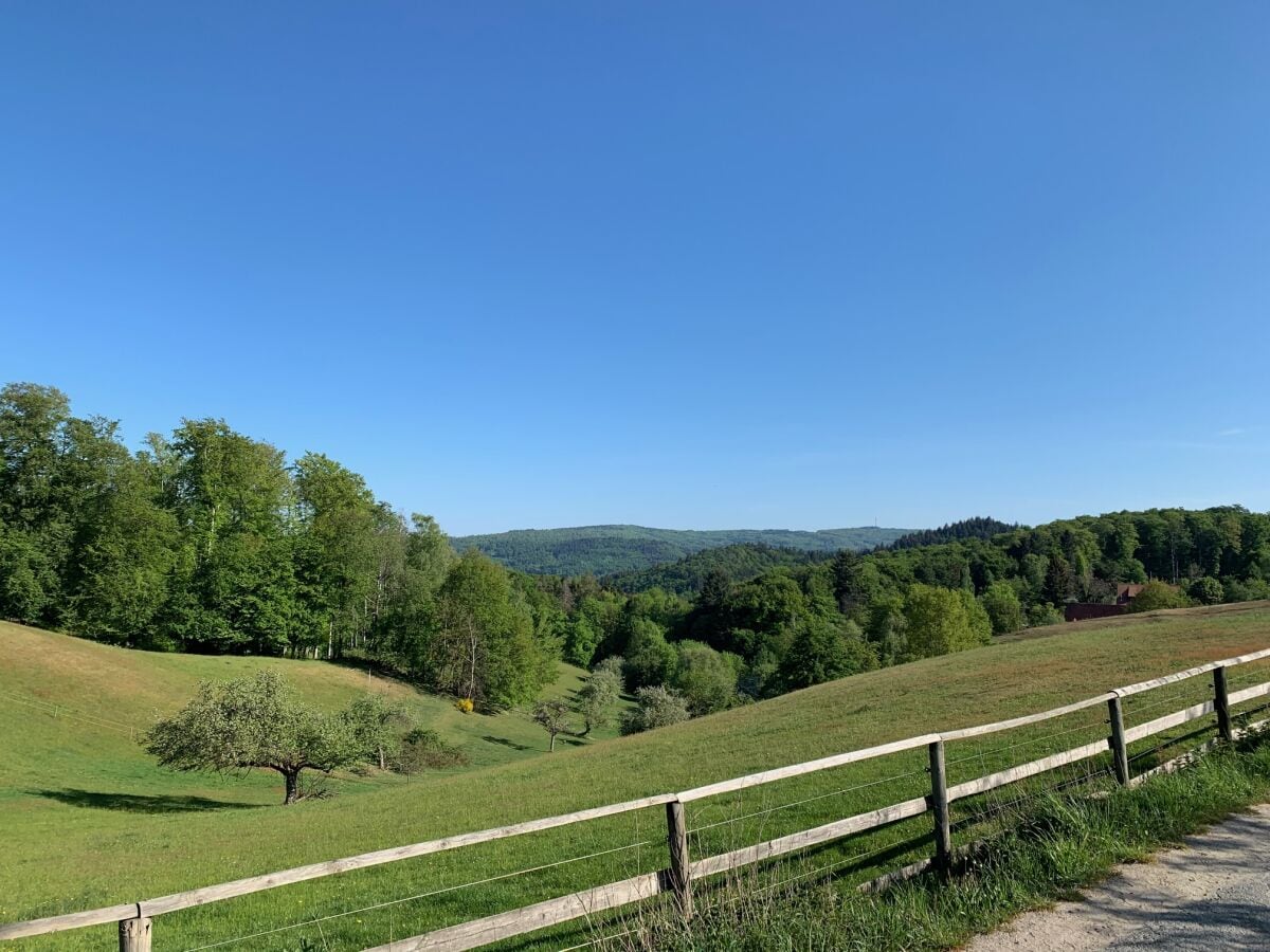 Wanderweg zur Juhöhe