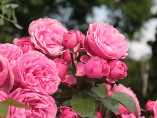 Vakantieappartement Nals Buitenaudio-opname 13