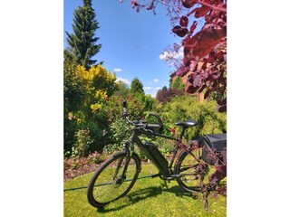 Holiday apartment Barkow Outdoor Recording 9