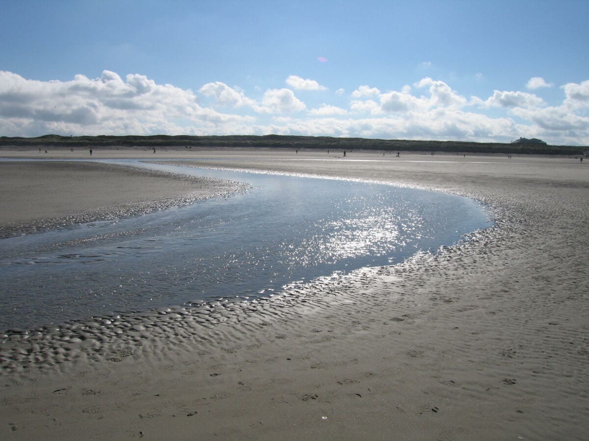 Im Wattenmeer von Baltrum