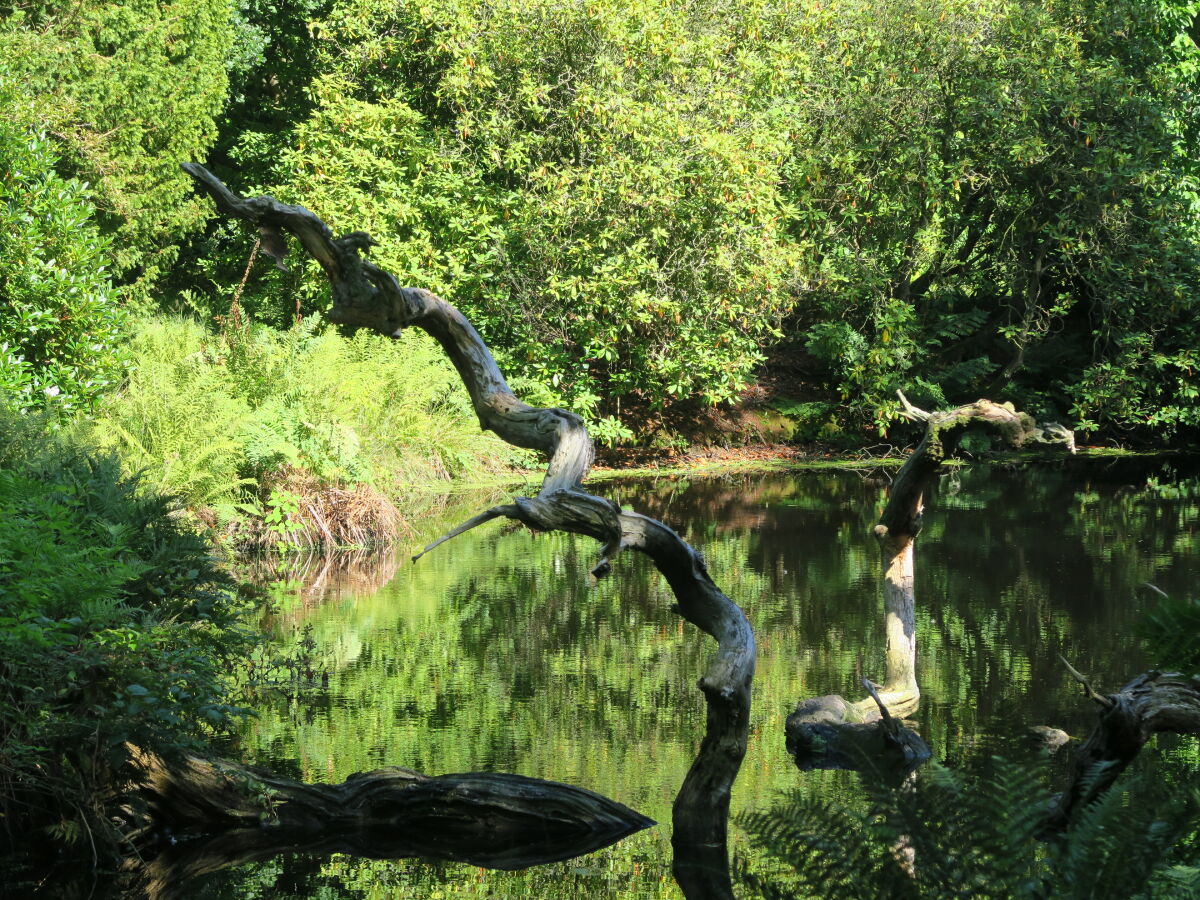 Im Schlosspark Lütetsburg, ca. 4km von Norden