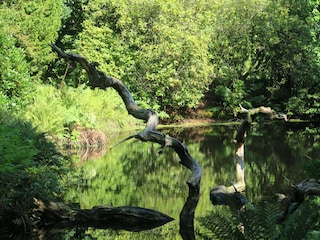 Im Schlosspark Lütetsburg, ca. 4km von Norden