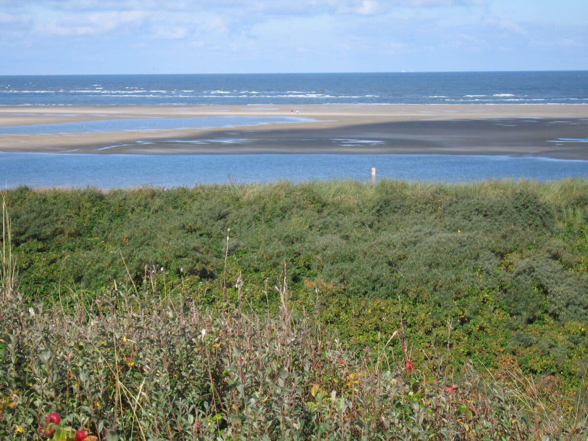 Spieckeroog - in den Dünen