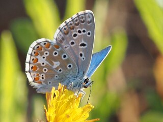 Casa per le vacanze Monteverdi Marittimo Registrazione all'aperto 2
