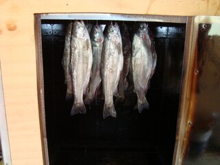 Appartamento per vacanze Egmond aan Zee Ambiente 37