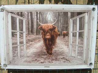 Appartamento per vacanze Egmond aan Zee Registrazione all'aperto 8