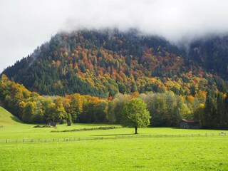 Appartamento per vacanze Schoppernau Registrazione all'aperto 8