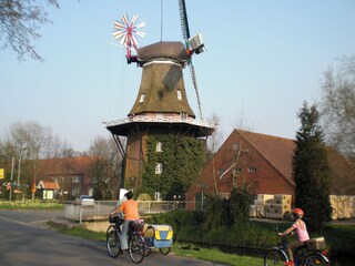 Windmühle in Spetzerfehn