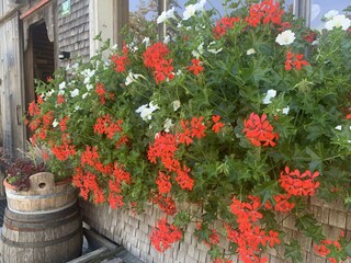 Blumenschmuck