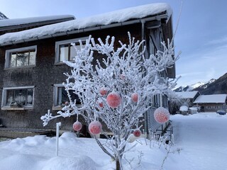 Casa per le vacanze Schnepfau Registrazione all'aperto 9