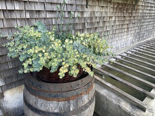 Casa per le vacanze Schnepfau Registrazione all'aperto 15