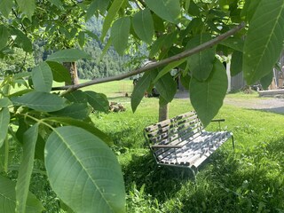 Unterm Baum sitzen